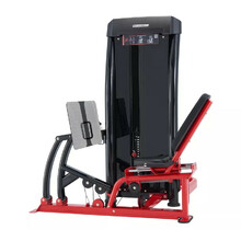 тренажори Steelflex Leg Press JGLP500