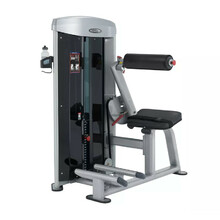 трениране на гръб Steelflex Mega Power MBK1600 Back Extension