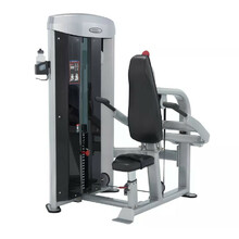 ергометри Steelflex Mega Power MTM1000 Triceps Press