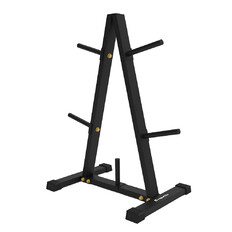 Стойка за дискове 30 мм inSPORTline RP100