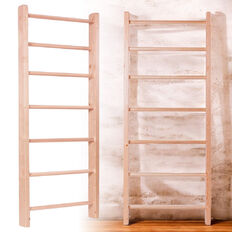 Шведска стена inSPORTline Steadyline 200x90 cm