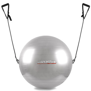 Гимнастическа топка с дръжки inSPORTline 55cm - сиво