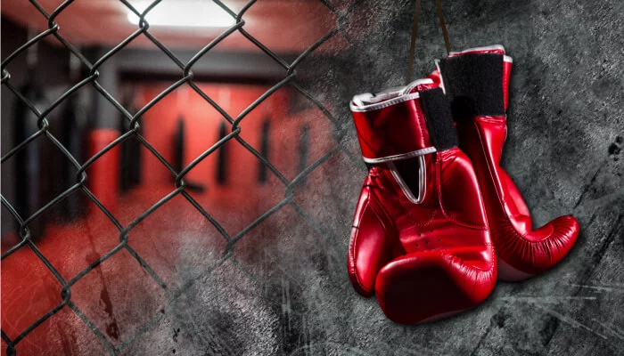 Боксови и MMA ръкавици