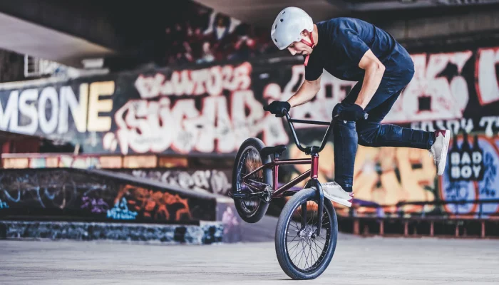 Фриистайл и BMX велосипеди