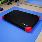 Гимнастически дюшек inSPORTline Agskal T25 200x120x20 см - черен