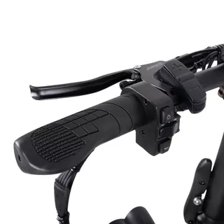 Електрически велосипед fat bike inSPORTline ISL Baxom 840Wh 20"