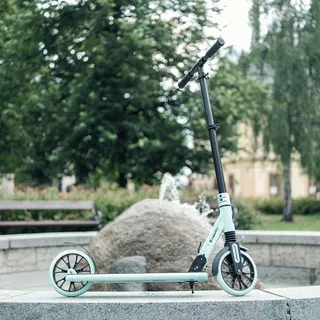 Сгъваема тротинетка inSPORTline Wayomint