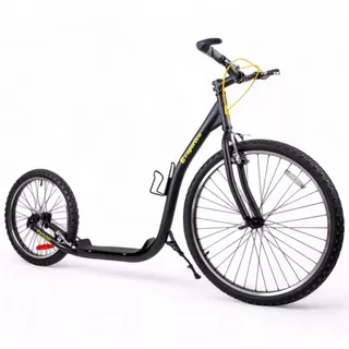 Тротинетка inSPORTline Parduber 26/20"