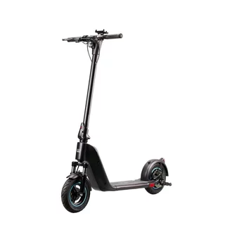 Електрическа тротинетка W-TEC SwapCharge 500W 10