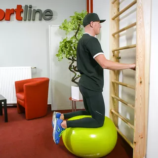 Шведска стена inSPORTline Dremar 230 x 90 см. - лакирана
