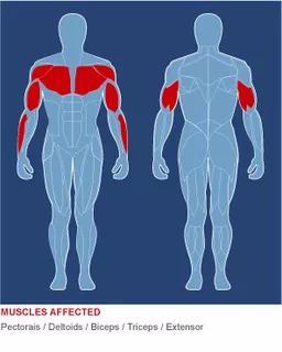 Преса за гърди Body-Solid SBP-100G / 2