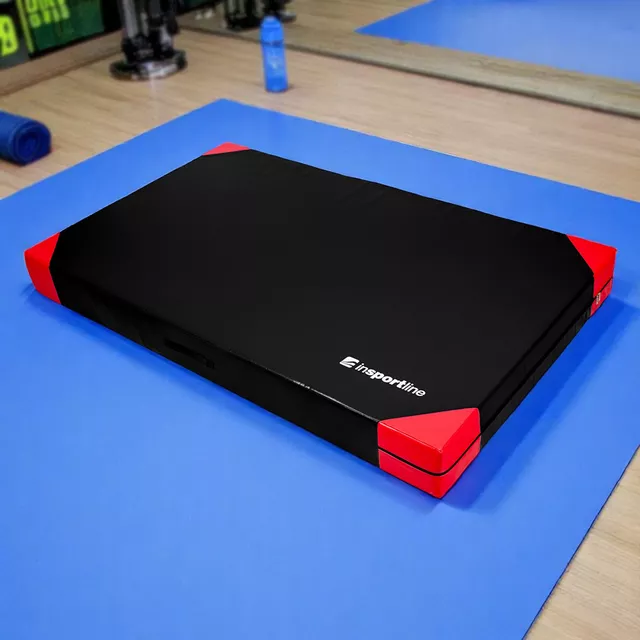 Гимнастически дюшек inSPORTline Agskal T25 200x120x20 см - черен - черен