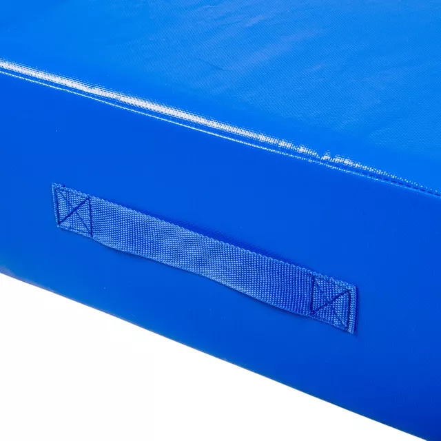 Гимнастически дюшек inSPORTline Agskal T25 200x120x20 см - черен