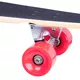 Лонгборд WORKER Maverick 43"