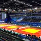Татами за джудо 200x100x5 cм