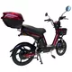 Електрически скутер inSPORTline E-Greta 12Ah 18" - червен