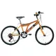 Kids bike DHS Tiger 2021 - оранжево