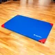 Гимнастически дюшек inSPORTline Gabyk T90 200x120x6 см - син - син