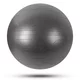 Гимнастическа топка inSPORTline Stretch Ball 65 см - черен - черен