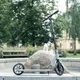 Сгъваема тротинетка inSPORTline Wayotan
