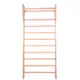 Шведска стена inSPORTline Dremar 230 x 90 см. - лакирана