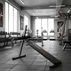 Лежанка Profi inSPORTline Ab Crunch Bench