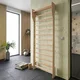 Шведска стена inSPORTline Shapemar 220 × 90 см