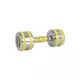 Хромиран дъмбел inSPORTline Yellsteel 6 кг