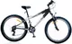 Suspension bicycle DANDY R-EVOLUTION 26"