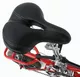 DANDY Folding bicycle 12"