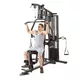 Гладиатор inSPORTline ProfiGym C95