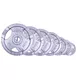 Олимпийски диск  inSPORTline Hamerton 2,5 kg