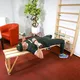 Шведска стена inSPORTline Dremar 230 x 90 см. - лакирана