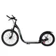 WORKER Vedic Scooter 20" and 16"